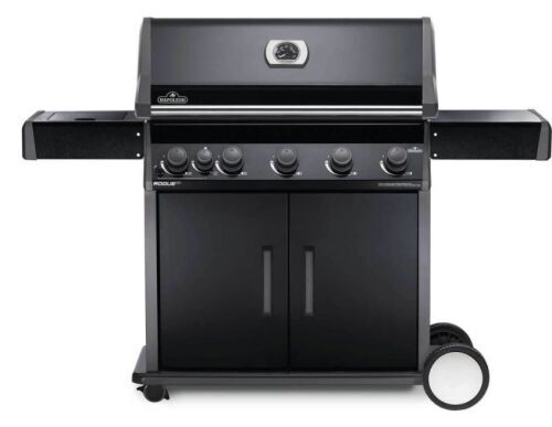 Napoleon Rogue XT 625 SB